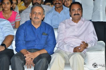 Naa Peru Surya Naa Illu India Pre Release Event Photos